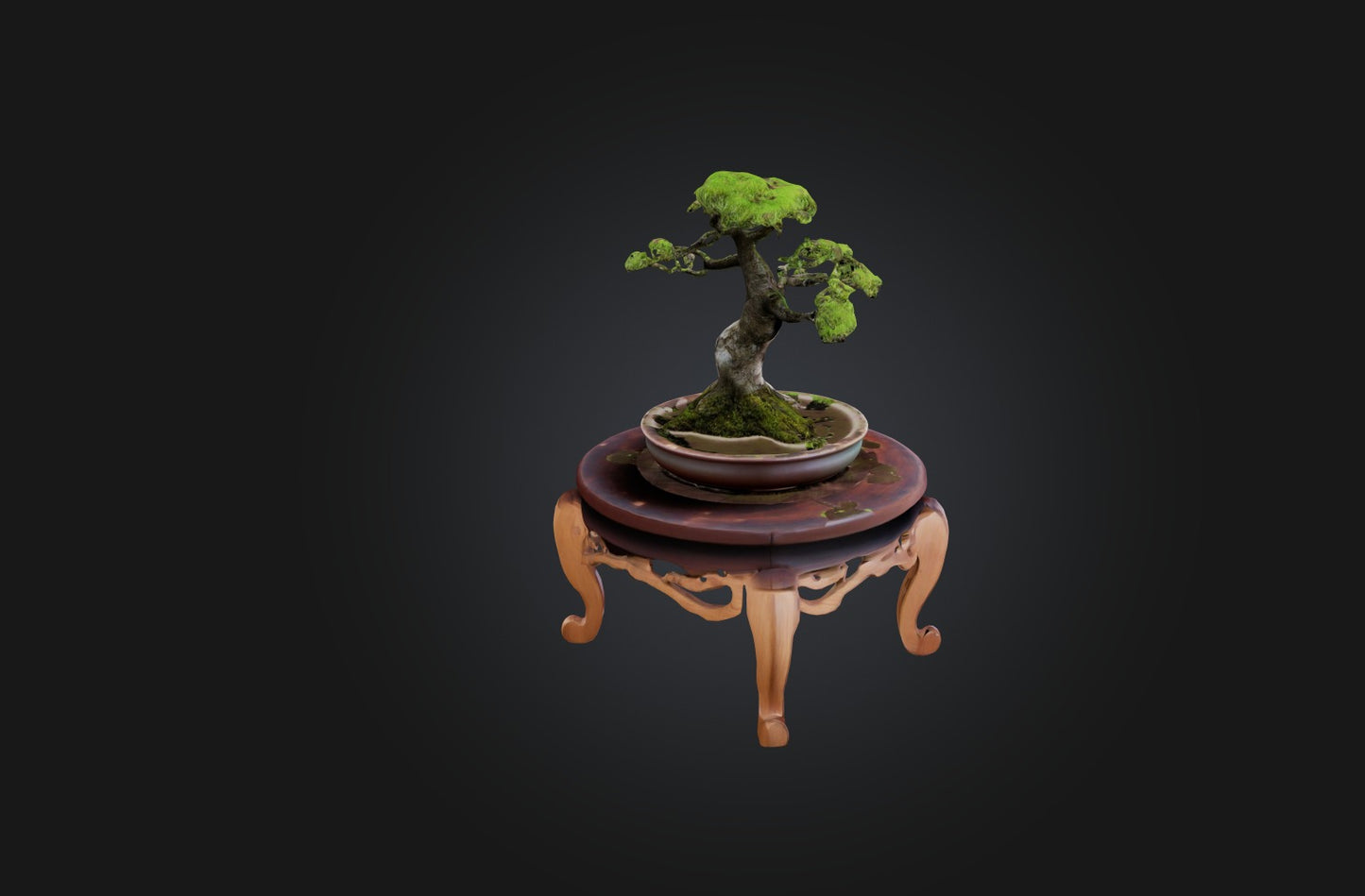 3D model Unique Bonsai Tree Stand VR / AR / low-poly