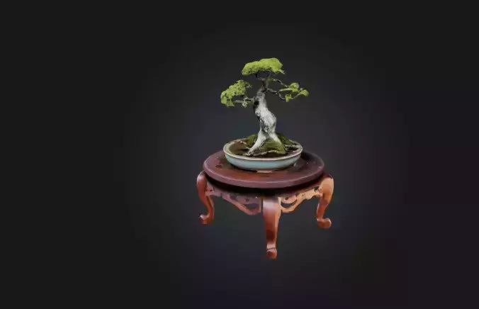 3D model Unique Bonsai Tree Stand VR / AR / low-poly
