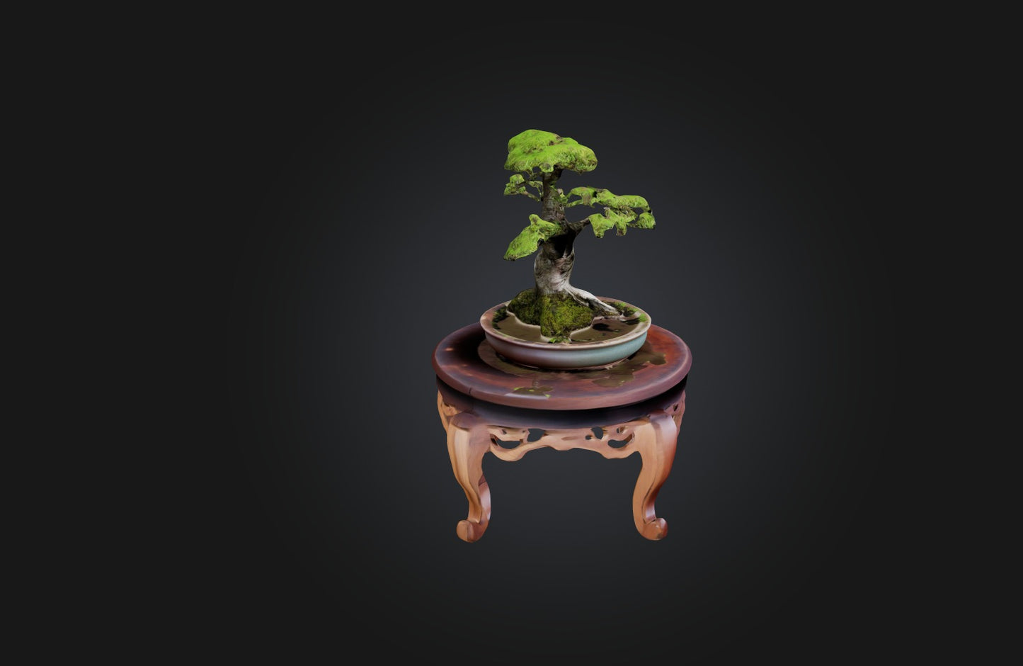 3D model Unique Bonsai Tree Stand VR / AR / low-poly