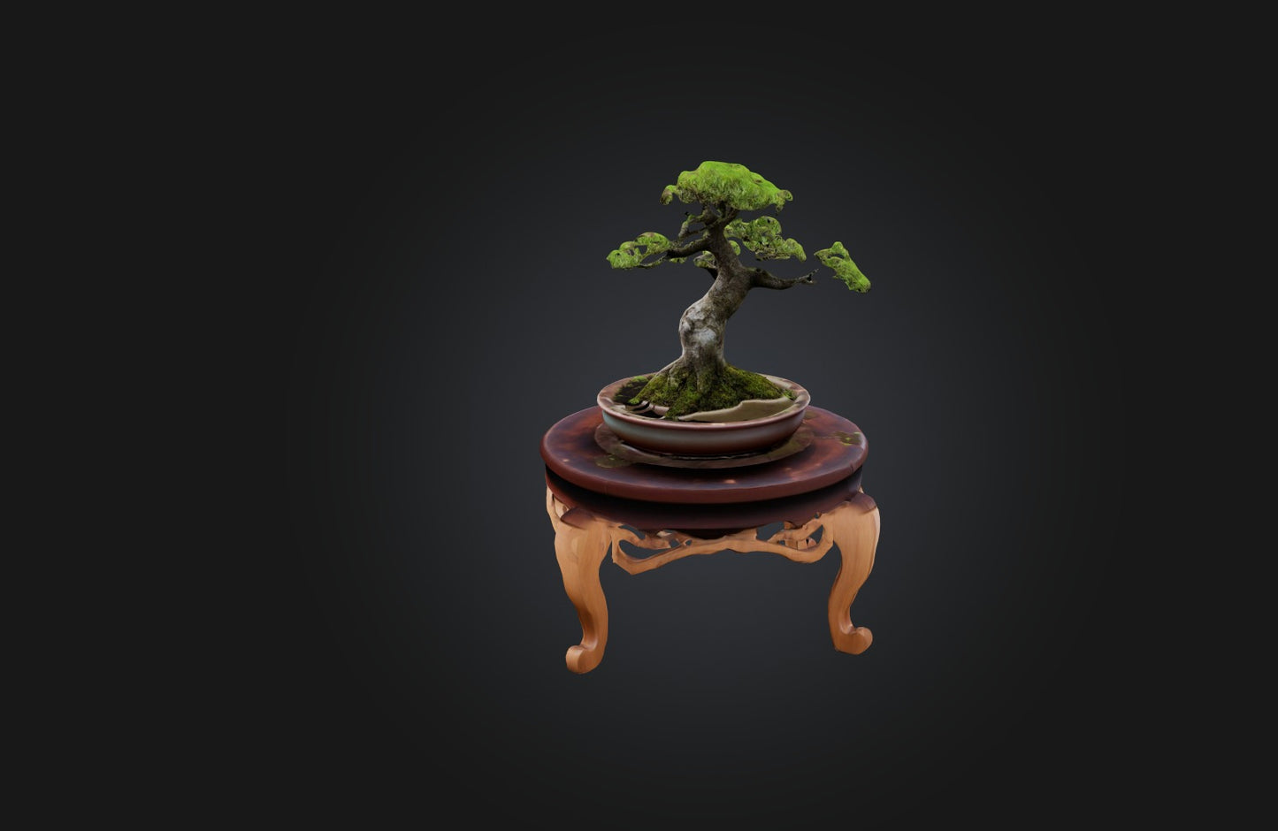3D model Unique Bonsai Tree Stand VR / AR / low-poly