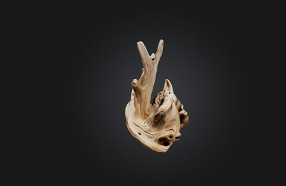 3D model Unique Driftwood Sculpture VR / AR / low-poly