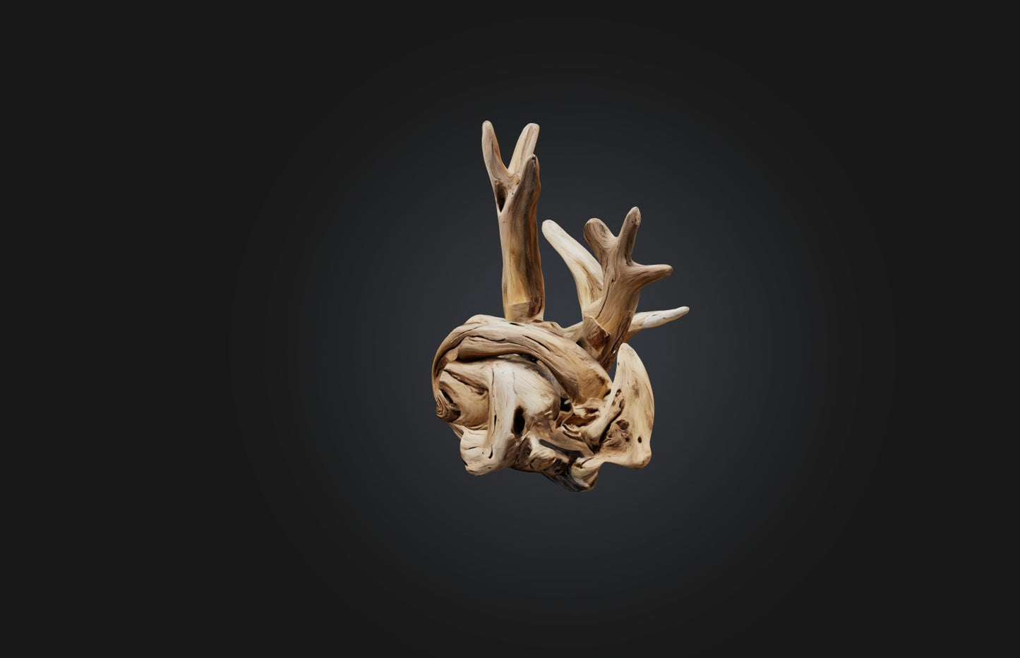 3D model Unique Driftwood Sculpture VR / AR / low-poly