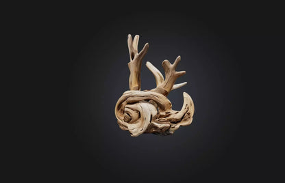 3D model Unique Driftwood Sculpture VR / AR / low-poly