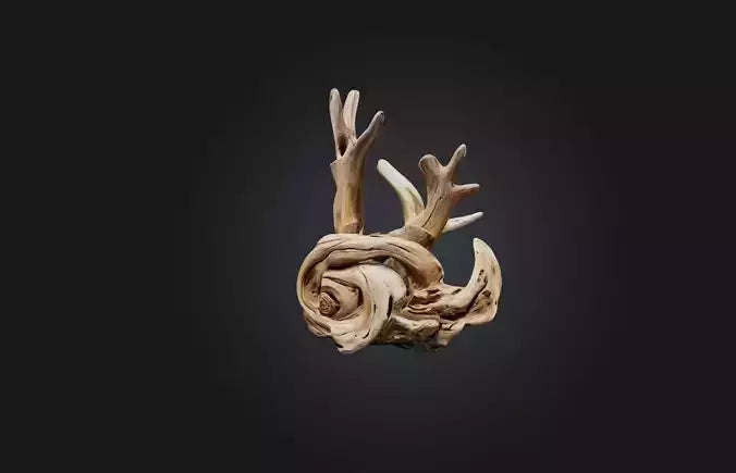 3D model Unique Driftwood Sculpture VR / AR / low-poly