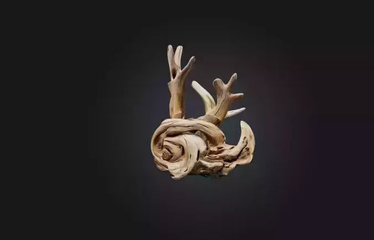 3D model Unique Driftwood Sculpture VR / AR / low-poly