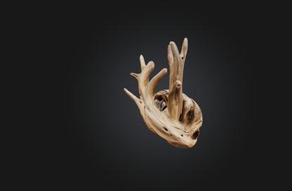 3D model Unique Driftwood Sculpture VR / AR / low-poly
