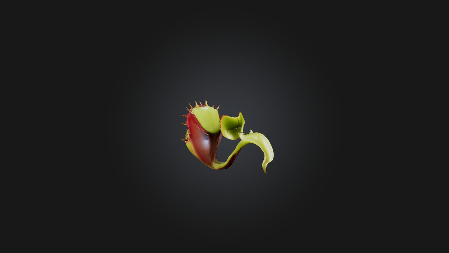 Venus Flytrap 3D model