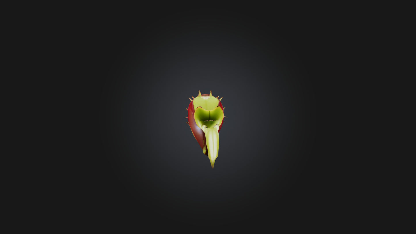 Venus Flytrap 3D model