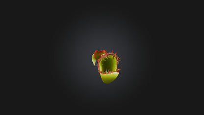 Venus Flytrap 3D model
