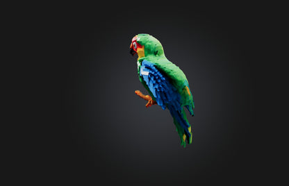 3D model Voxel Parrot VR / AR / low-poly