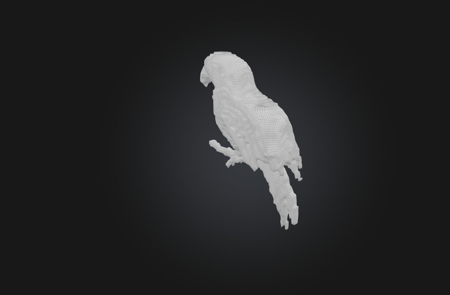 3D model Voxel Parrot VR / AR / low-poly
