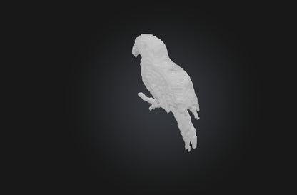 3D model Voxel Parrot VR / AR / low-poly