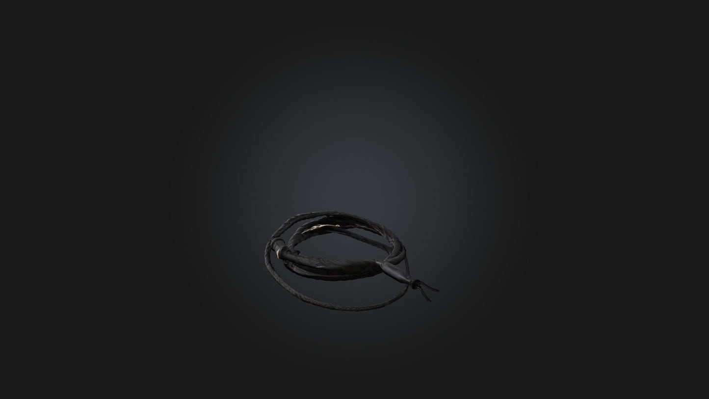 3D model Whip model VR / AR / low-poly