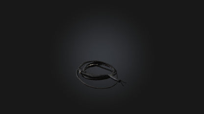 3D model Whip model VR / AR / low-poly