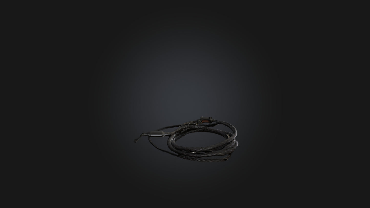 3D model Whip model VR / AR / low-poly