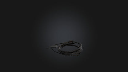 3D model Whip model VR / AR / low-poly