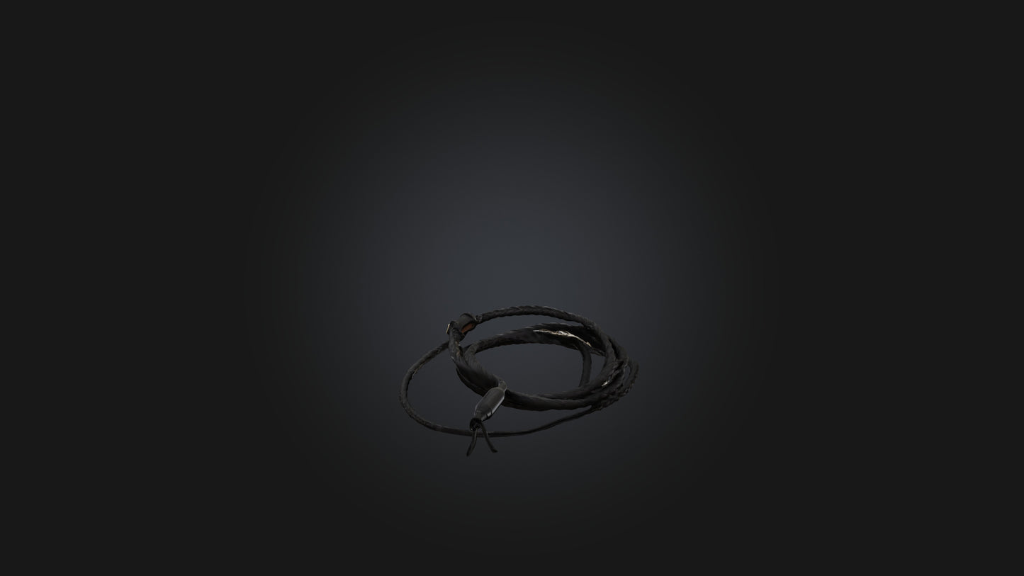 3D model Whip model VR / AR / low-poly