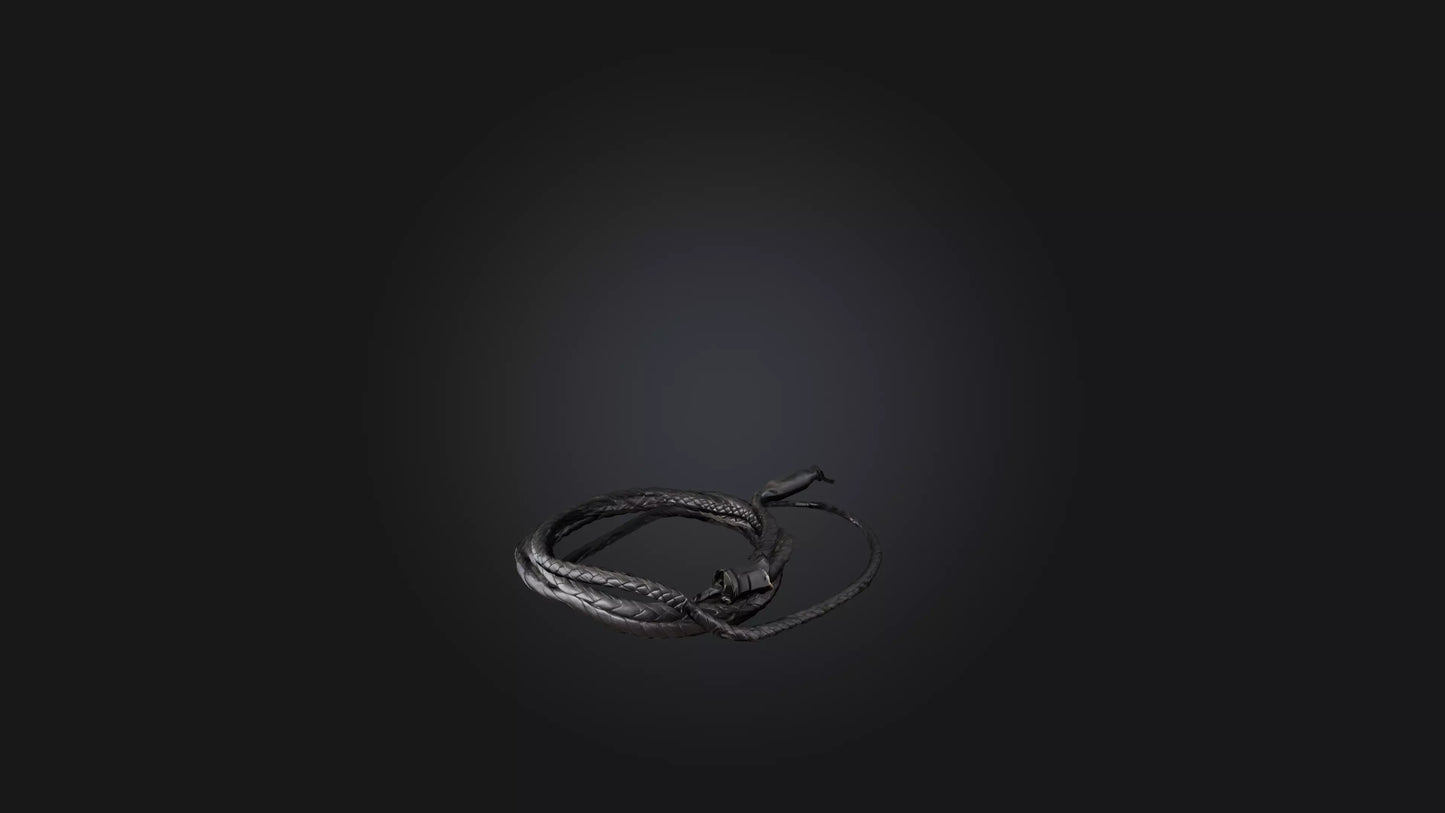 3D model Whip model VR / AR / low-poly