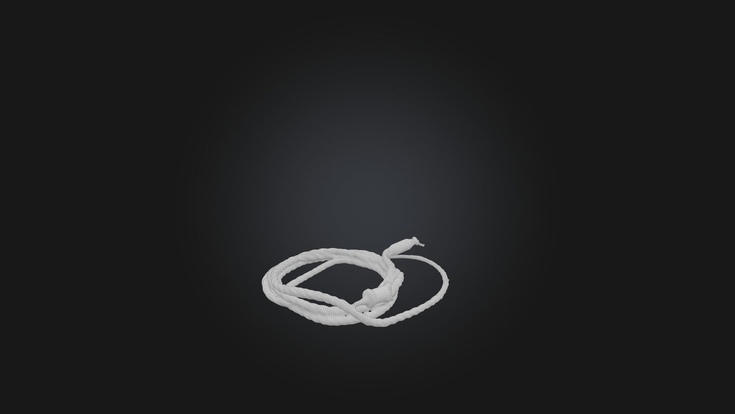 3D model Whip model VR / AR / low-poly