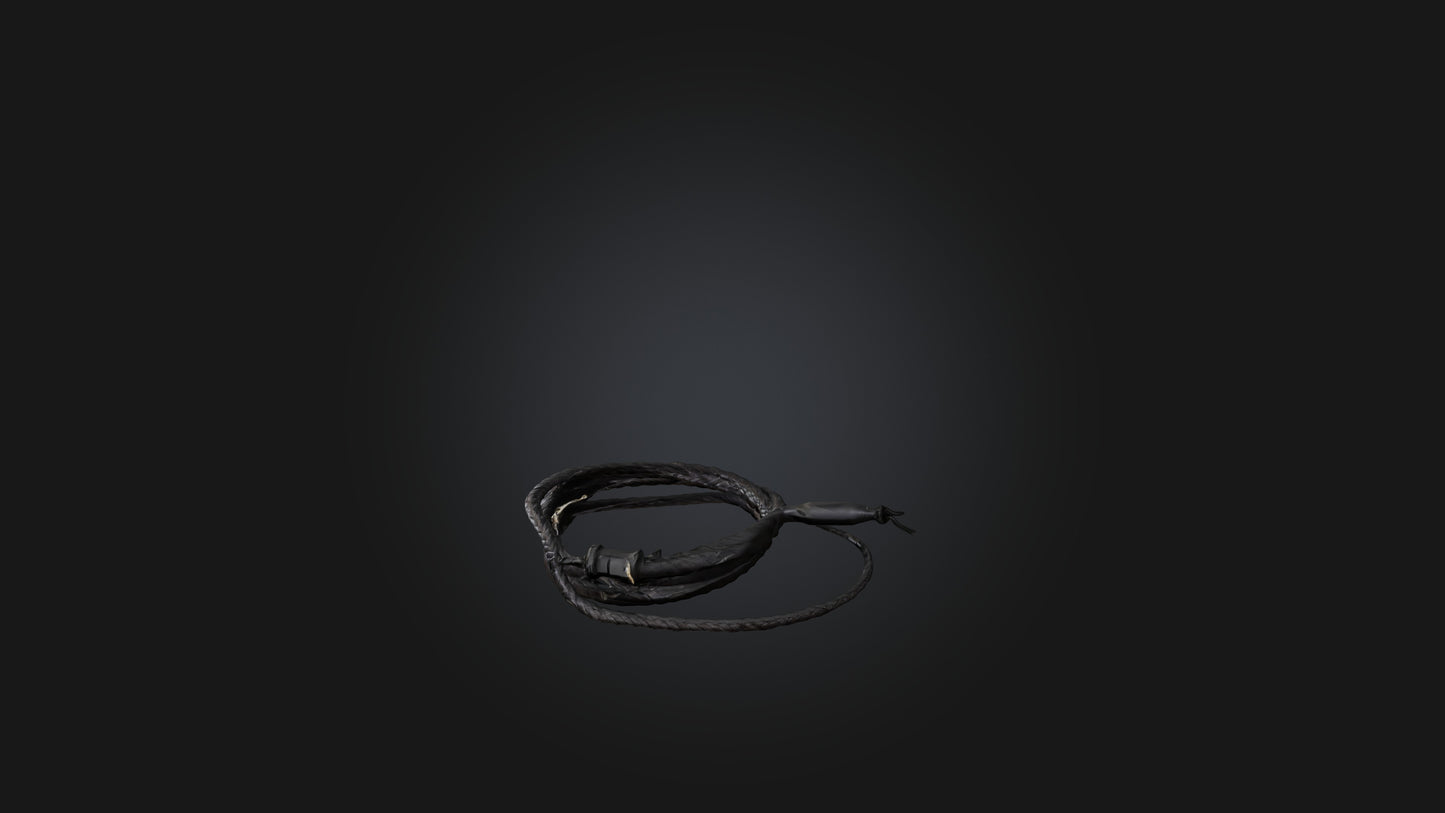 3D model Whip model VR / AR / low-poly
