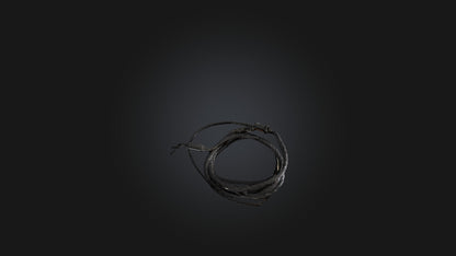 3D model Whip model VR / AR / low-poly