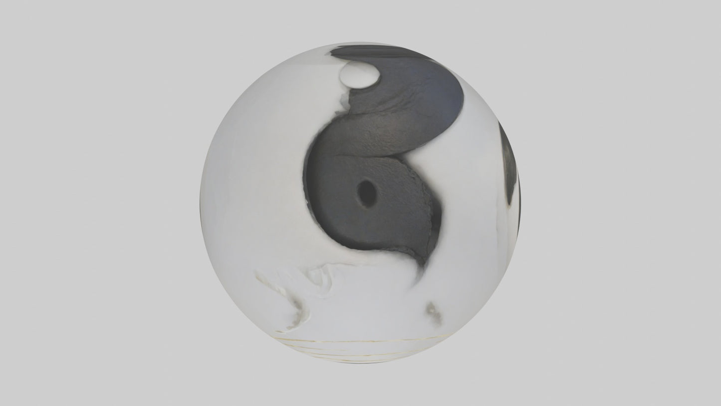 Yin Yangsymbol Model 3D model